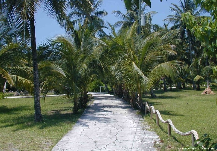 Guana Path
